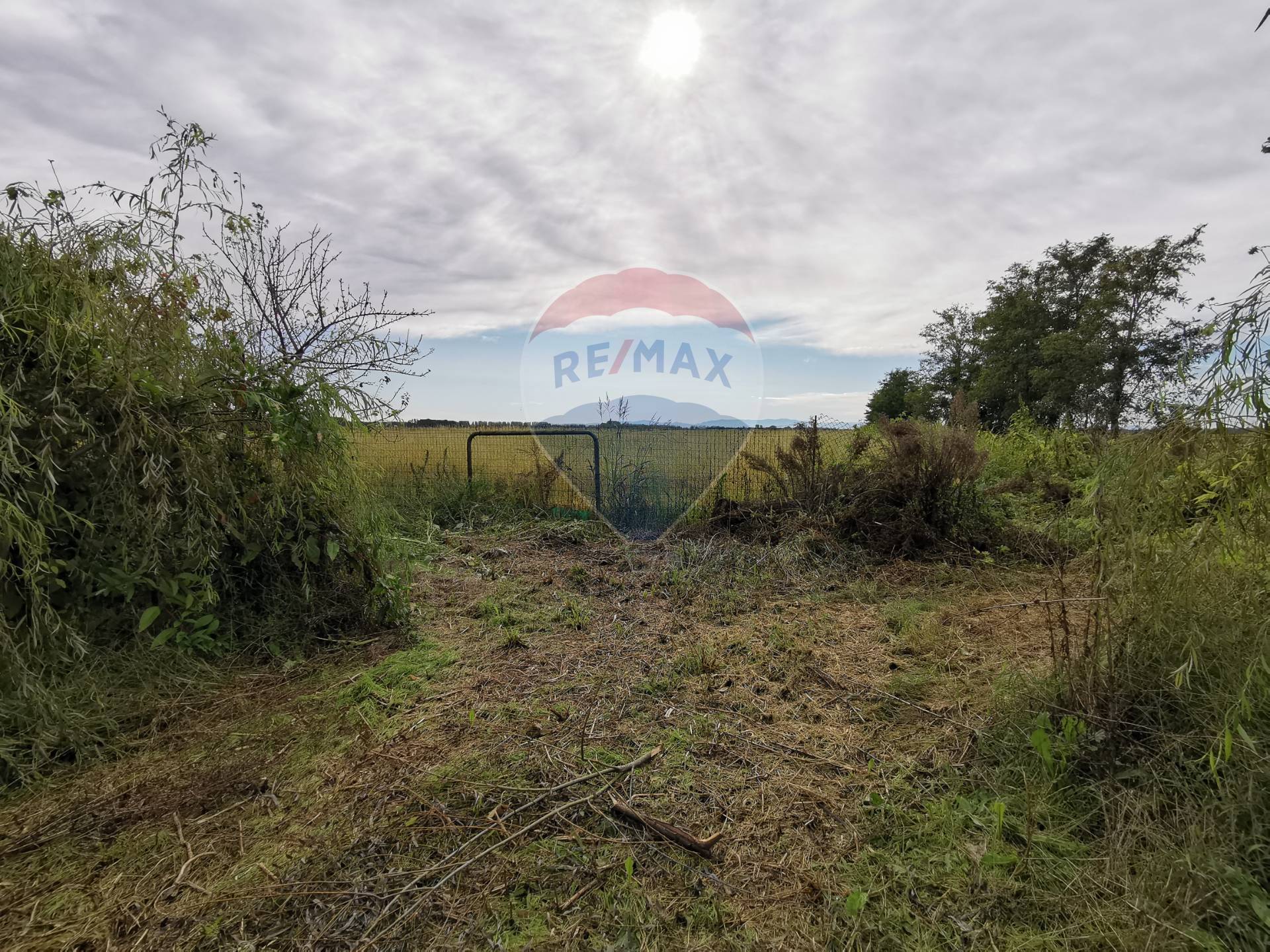 Rustico - Cascina CANDIA LOMELLINA vendita    RE/MAX Unit