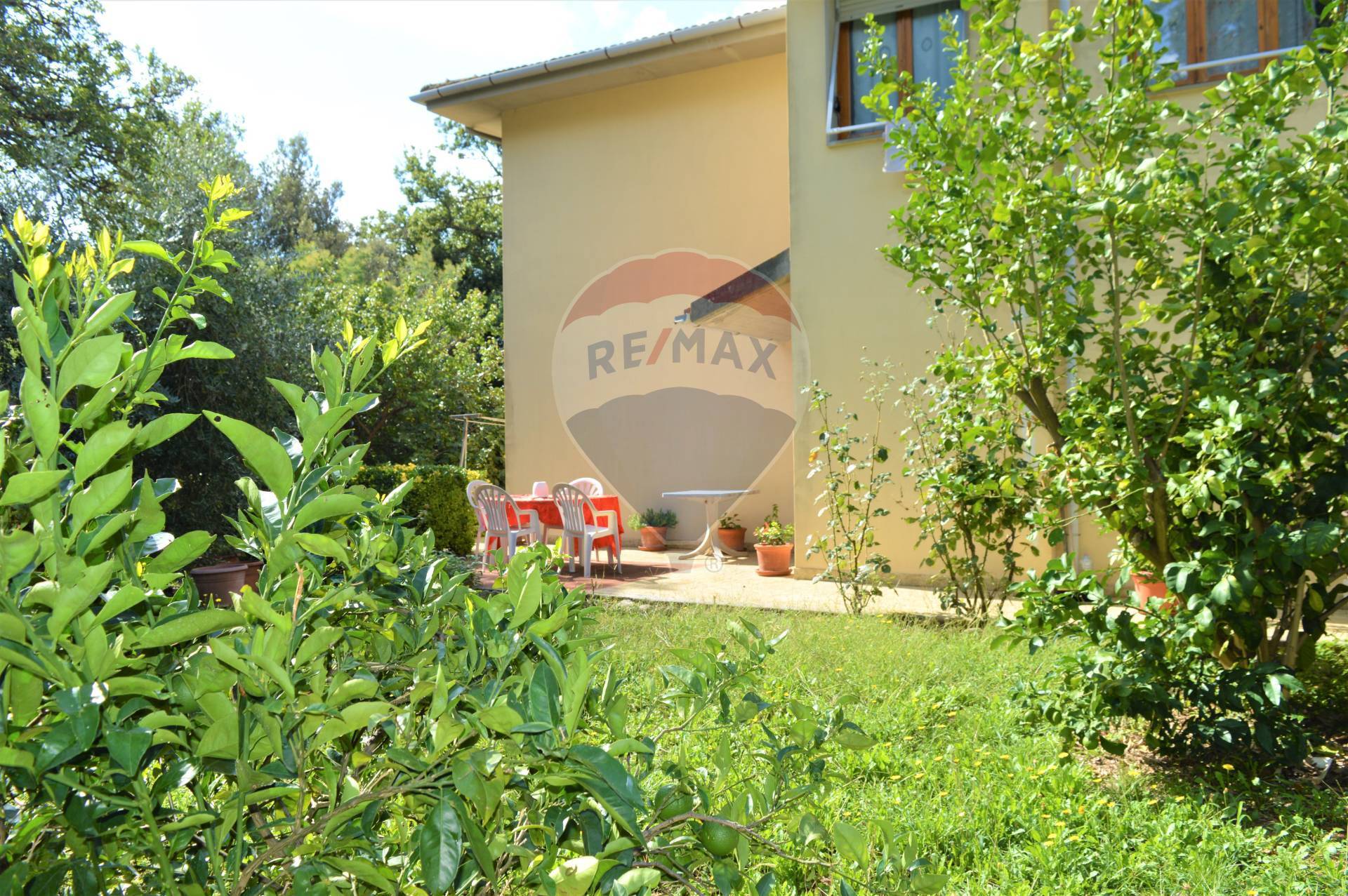 Appartamento BIBBONA vendita    RE/MAX Premiere