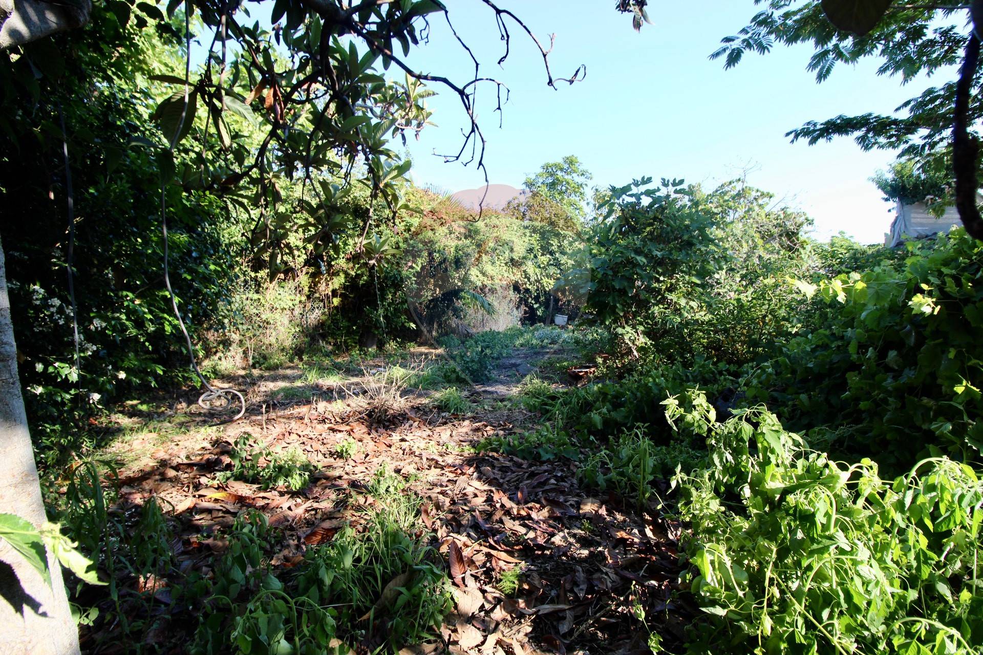 Villa Unifamiliare - Indipendente ACIREALE vendita    RE/MAX Kleos