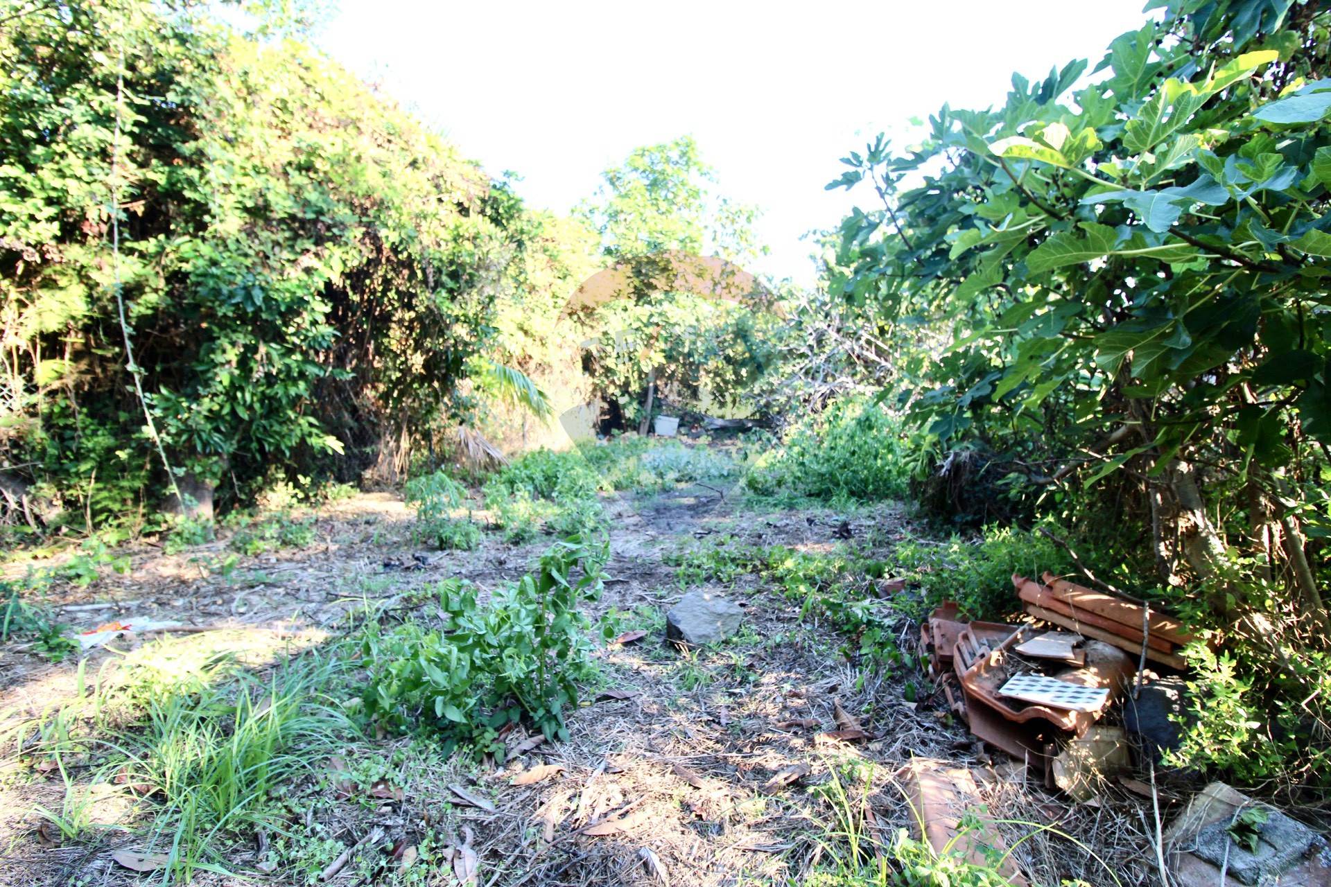 Villa Unifamiliare - Indipendente ACIREALE vendita    RE/MAX Kleos