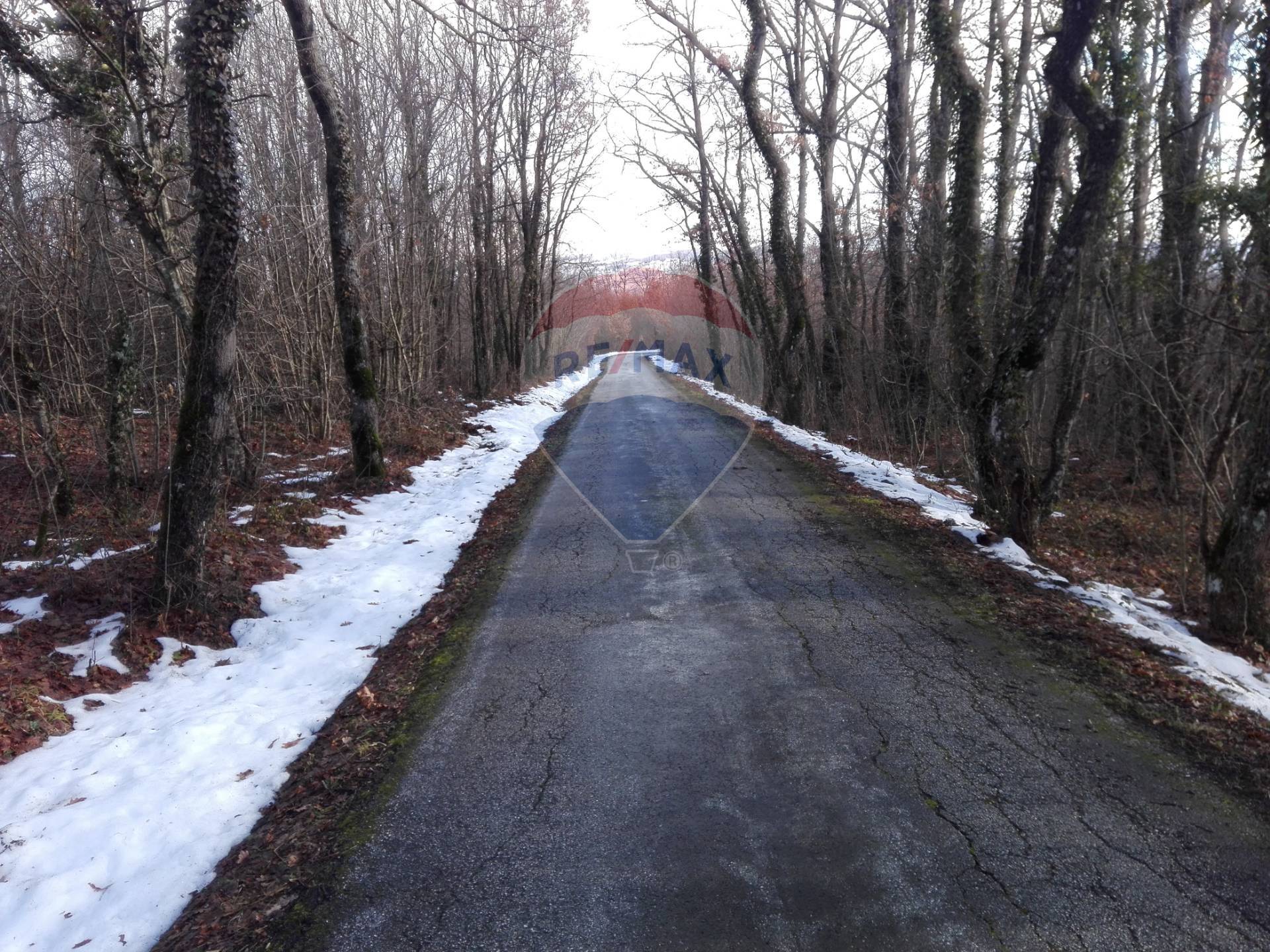 Rustico - Cascina SAN MASSIMO vendita    RE/MAX Advisor