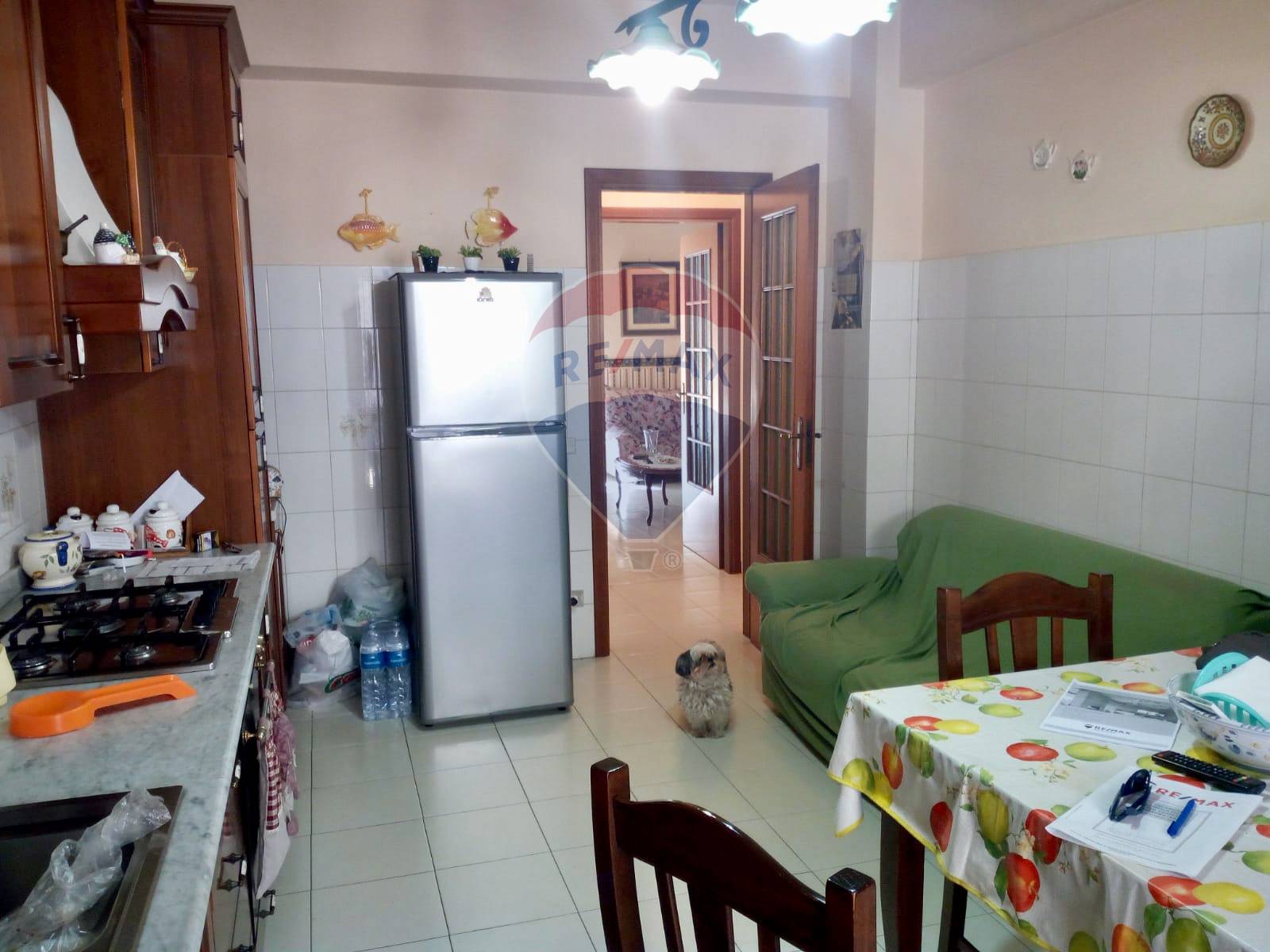 Appartamento CARLENTINI vendita    RE/MAX Realizza