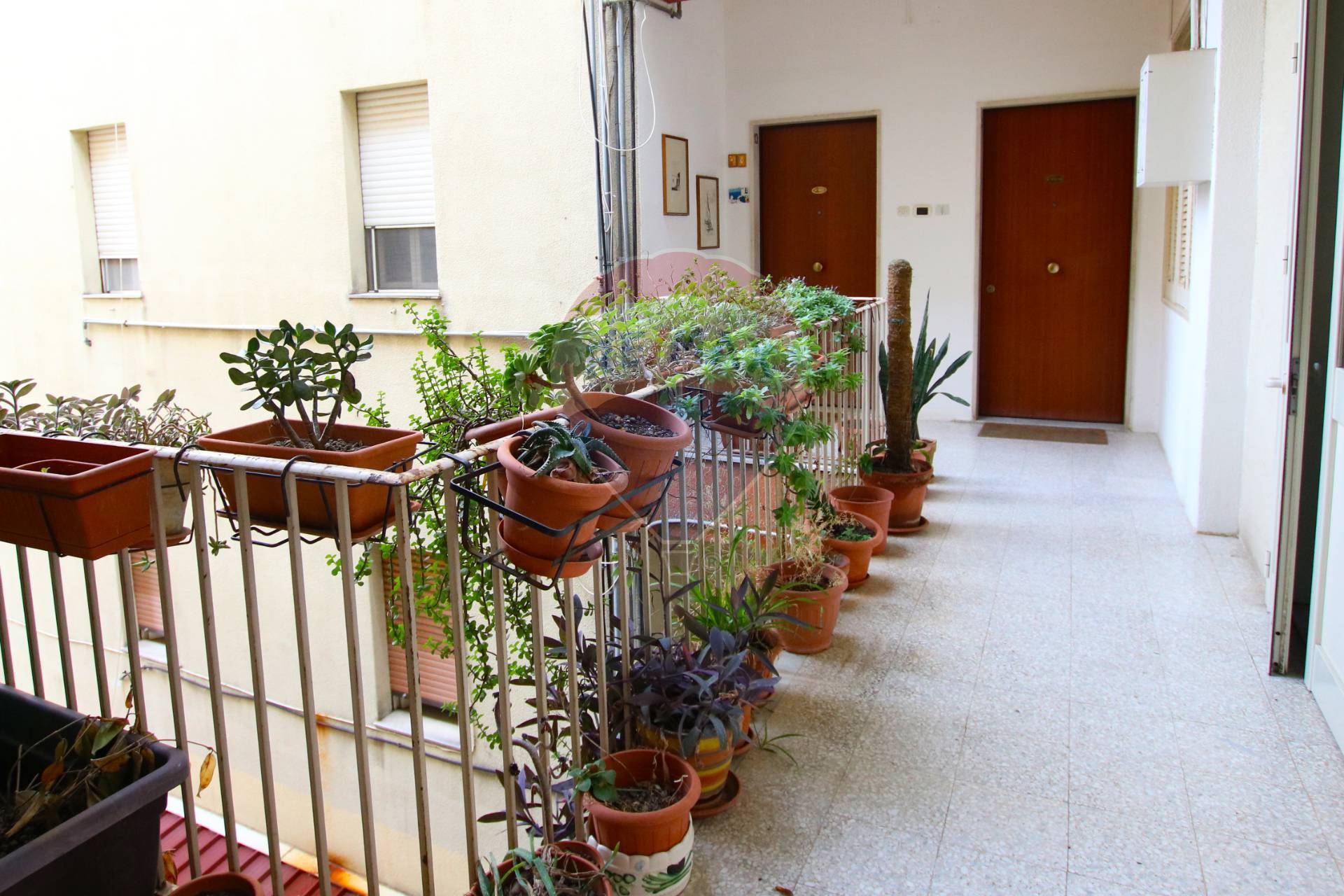 Appartamento SIRACUSA vendita  Zecchino  RE/MAX City Home