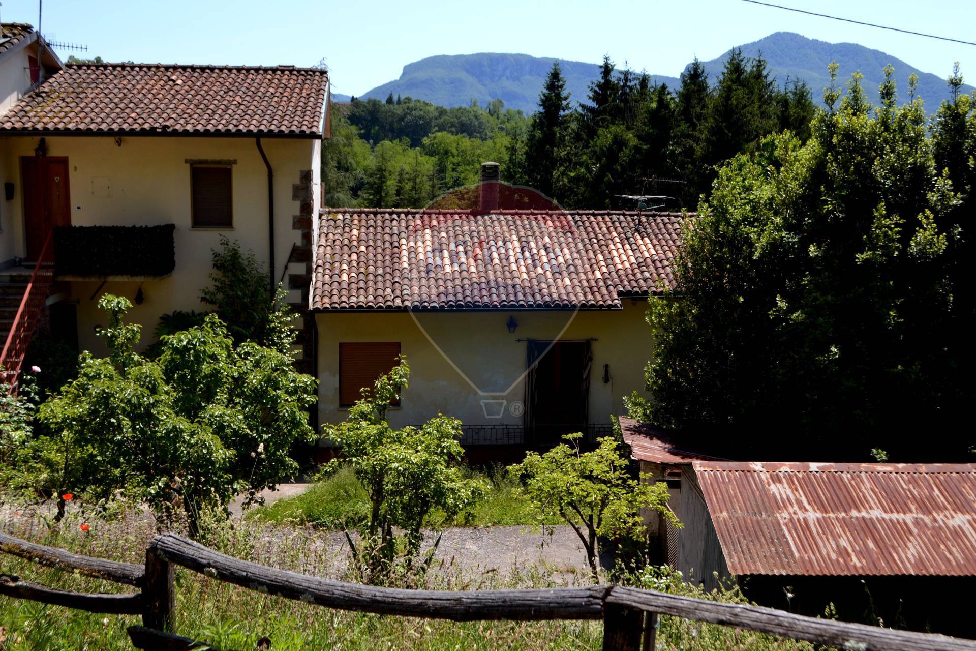 Villa BARGA vendita  Castelvecchio Pascoli  RE/MAX Quality House