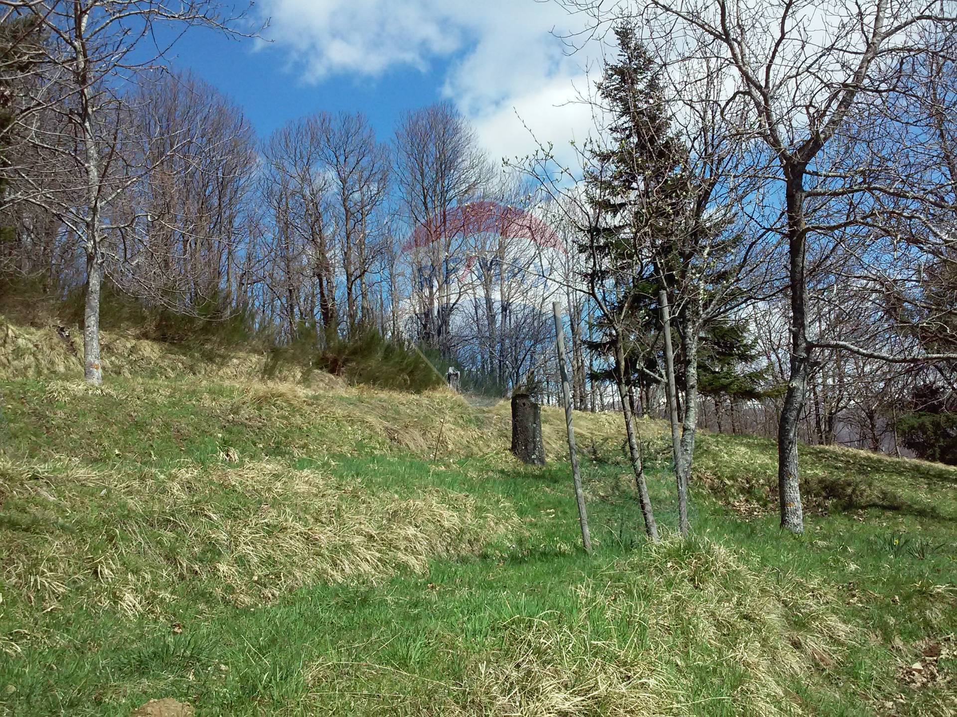 Villa Bifamiliare CASTIGLIONE DI GARFAGNANA vendita  Cerageto  RE/MAX Quality House