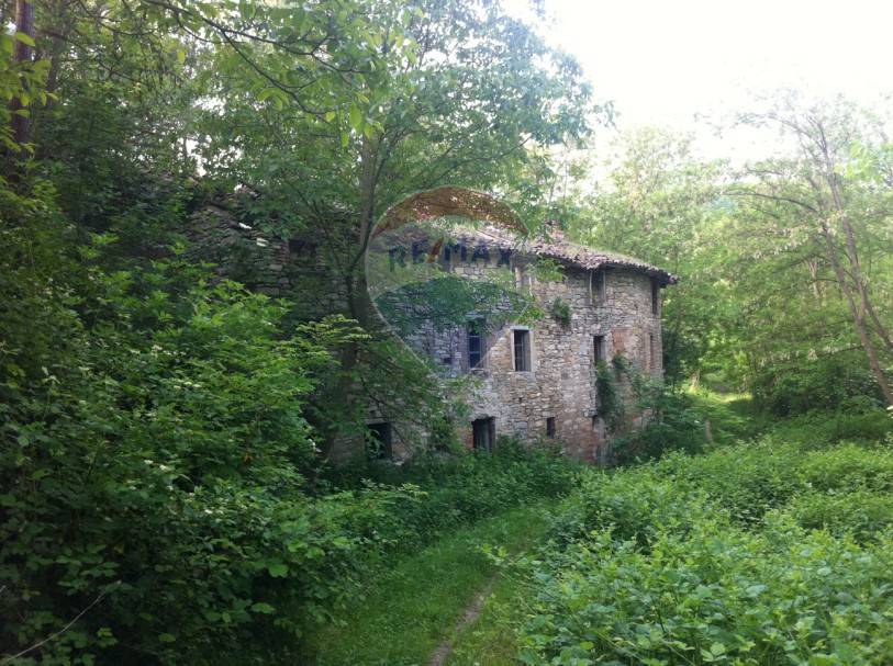 Rustico - Cascina PELLEGRINO PARMENSE vendita  Aione di Sopra  RE/MAX Alfa