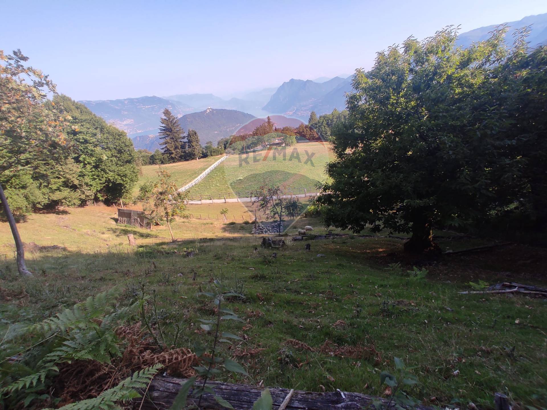 Ambiente raffinato Villa con Piscina