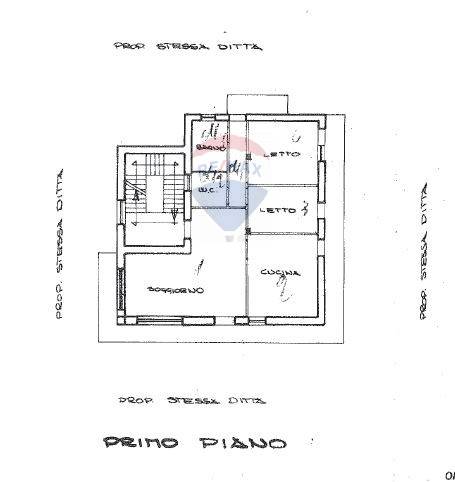 Pianta 2D