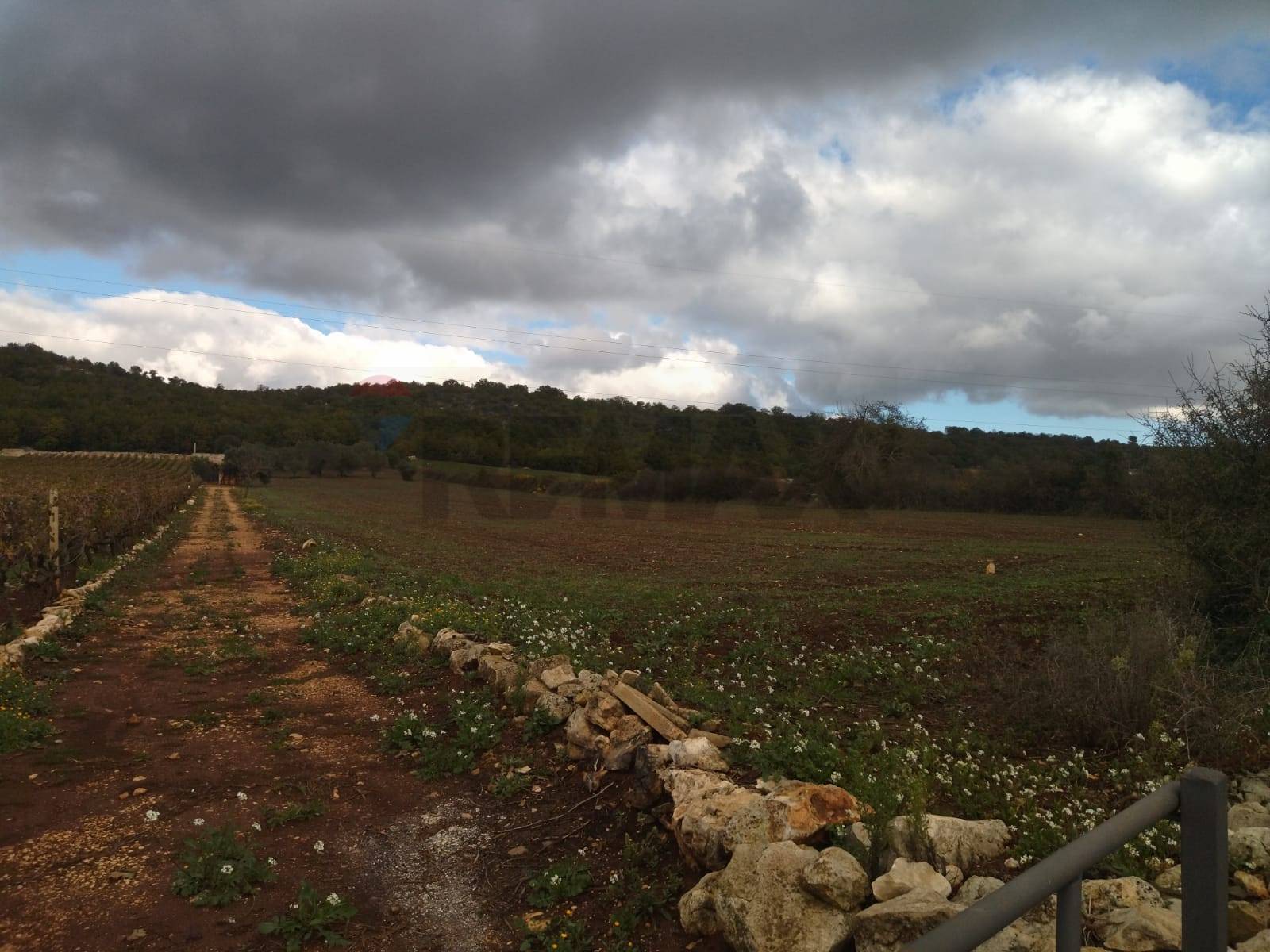 Terreno  Monopoli