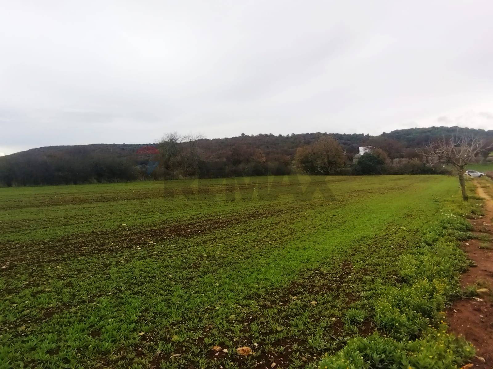 Terreno  Monopoli