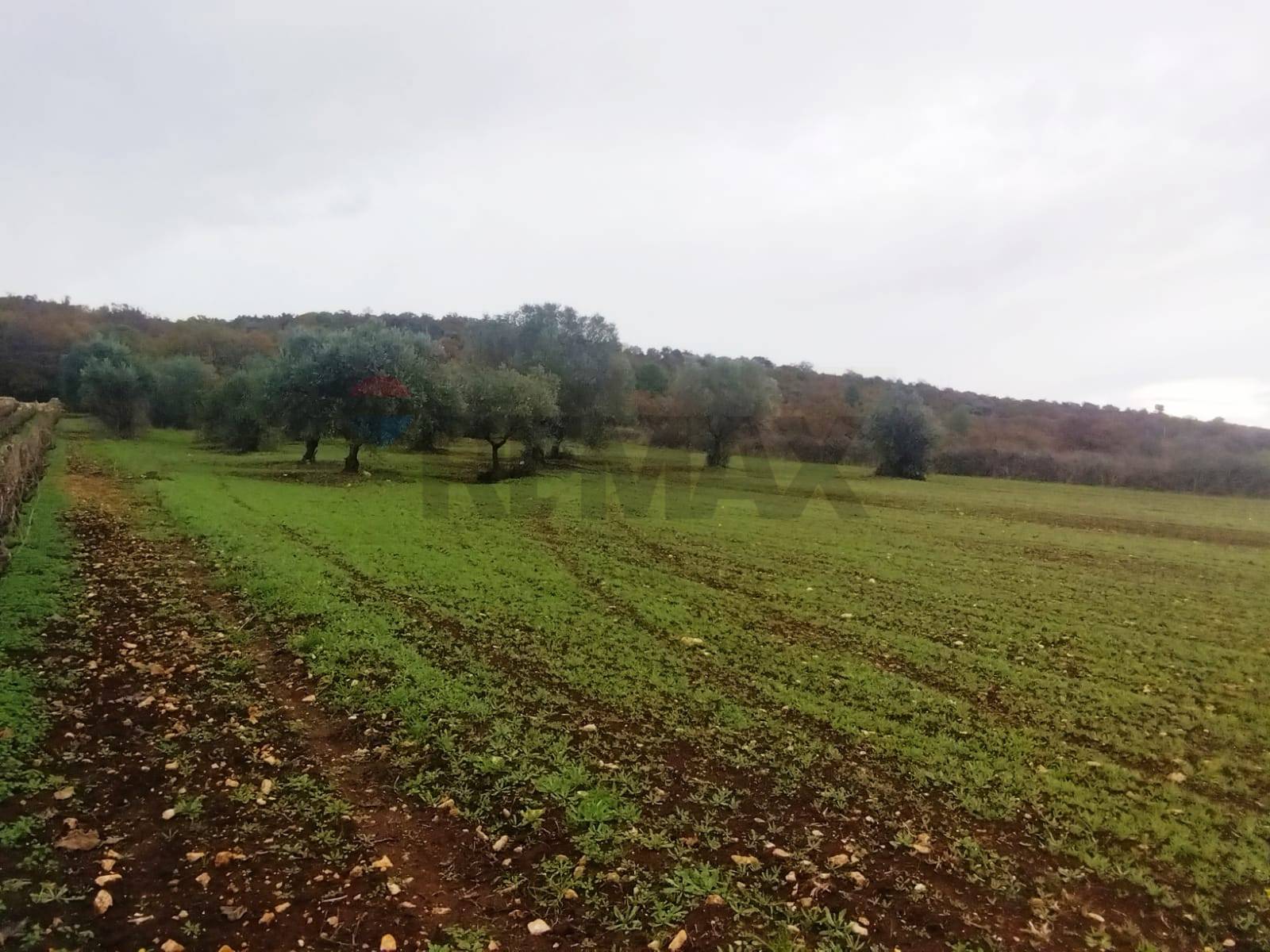 Terreno  Monopoli