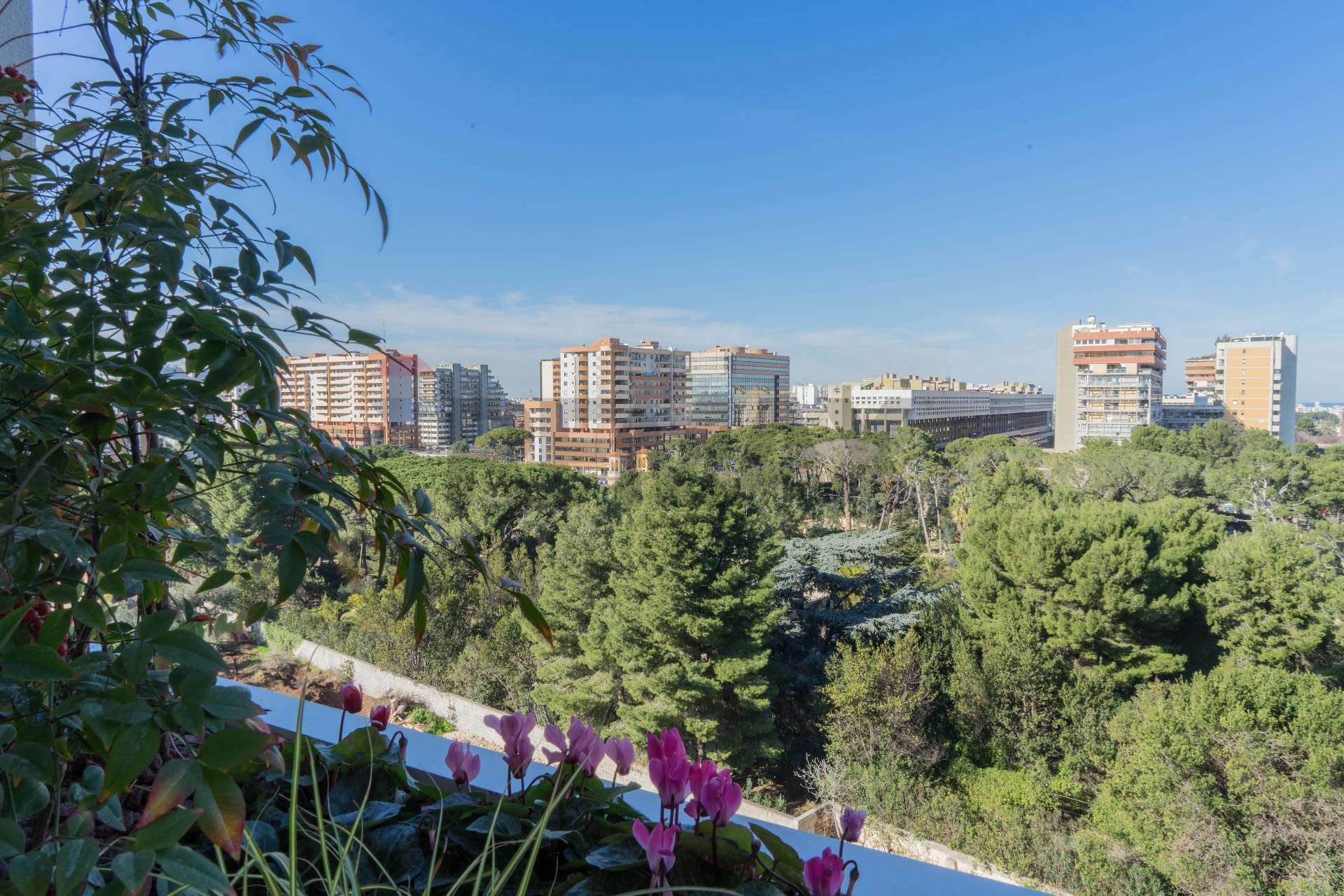 Appartamento in vendita a Bari, S. Pasquale