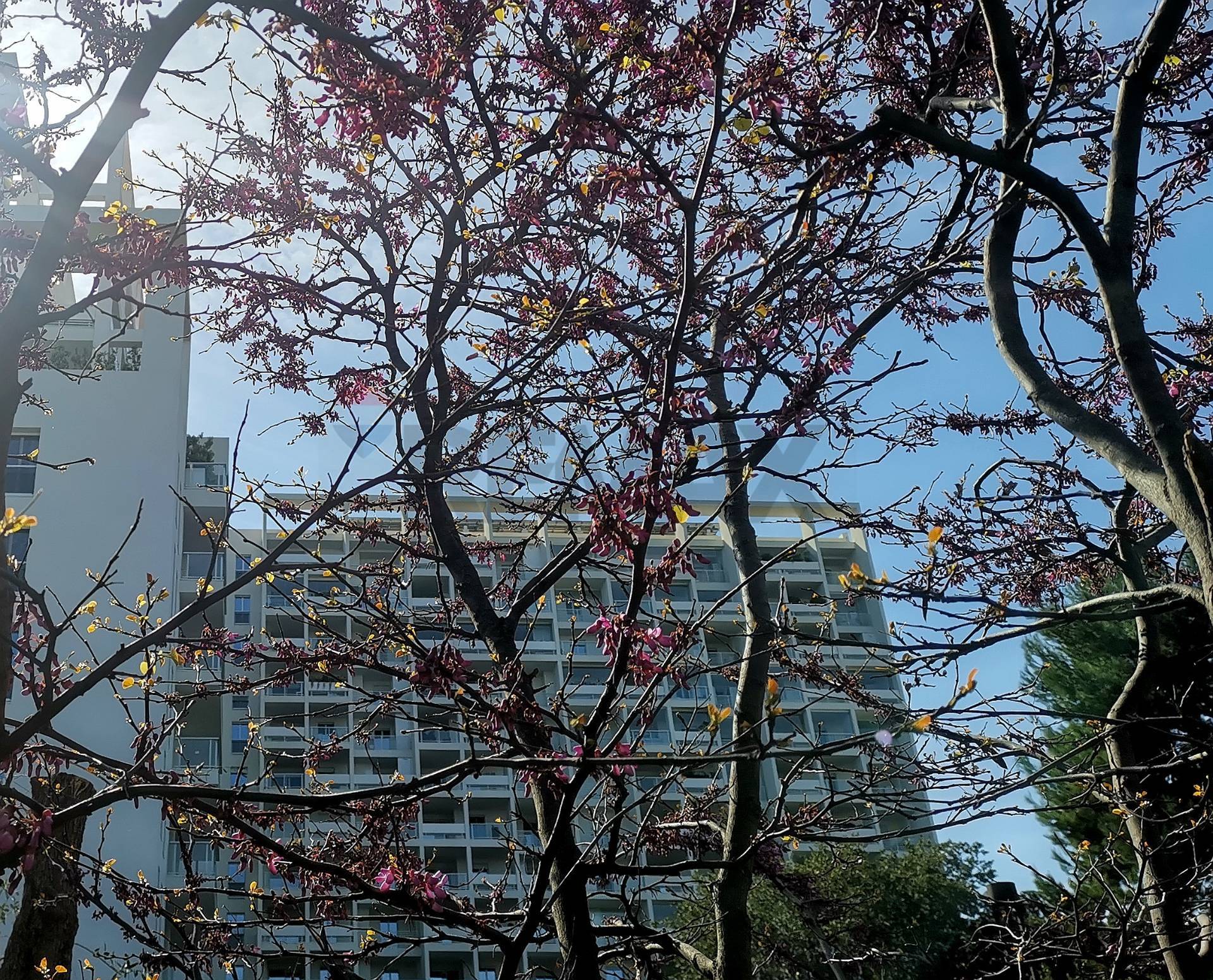 Appartamento in vendita a Bari, S. Pasquale