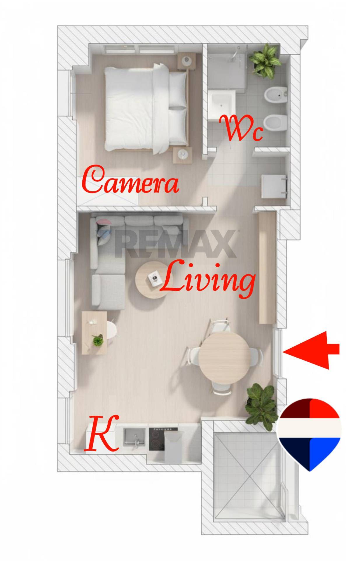 Pianta 3D