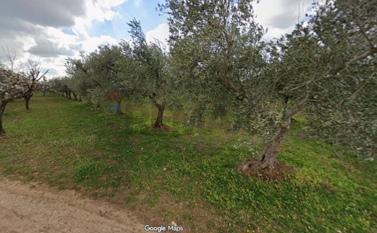 Terreno  Acquaviva delle Fonti