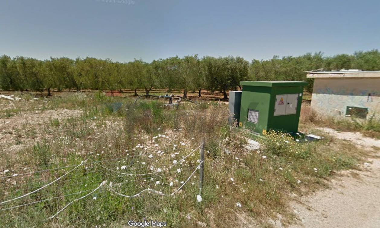 Terreno  Acquaviva delle Fonti