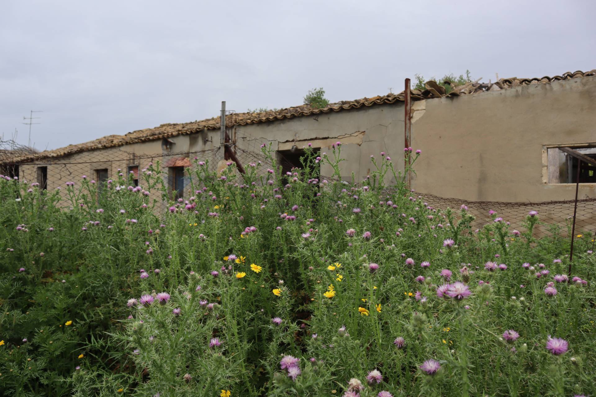 Rustico/Casale in vendita a Gela - foto 1