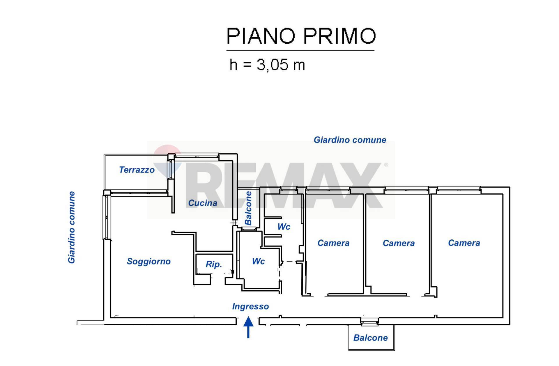 Pianta 2D