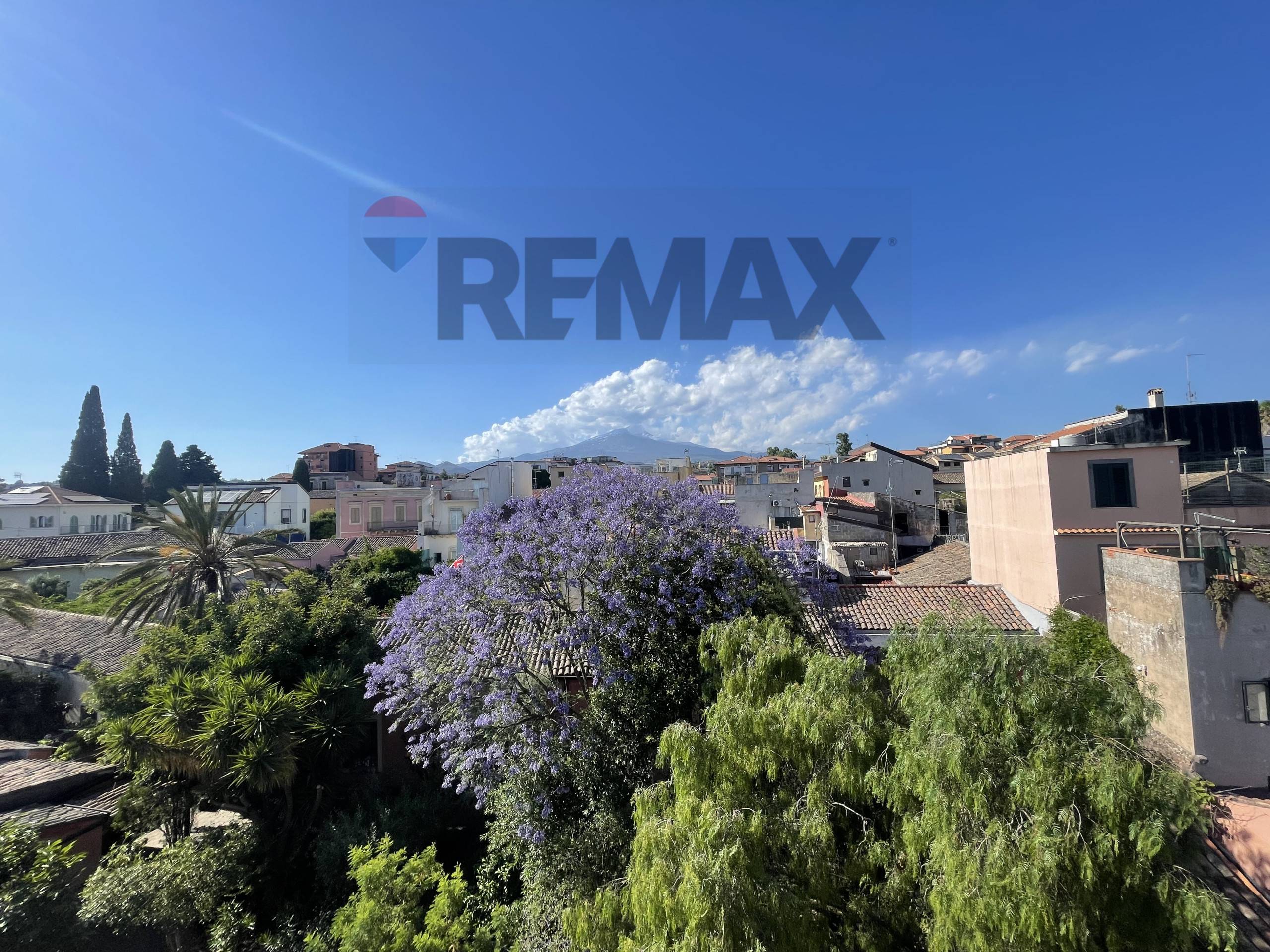 Appartamento in vendita a Mascalucia - foto 4