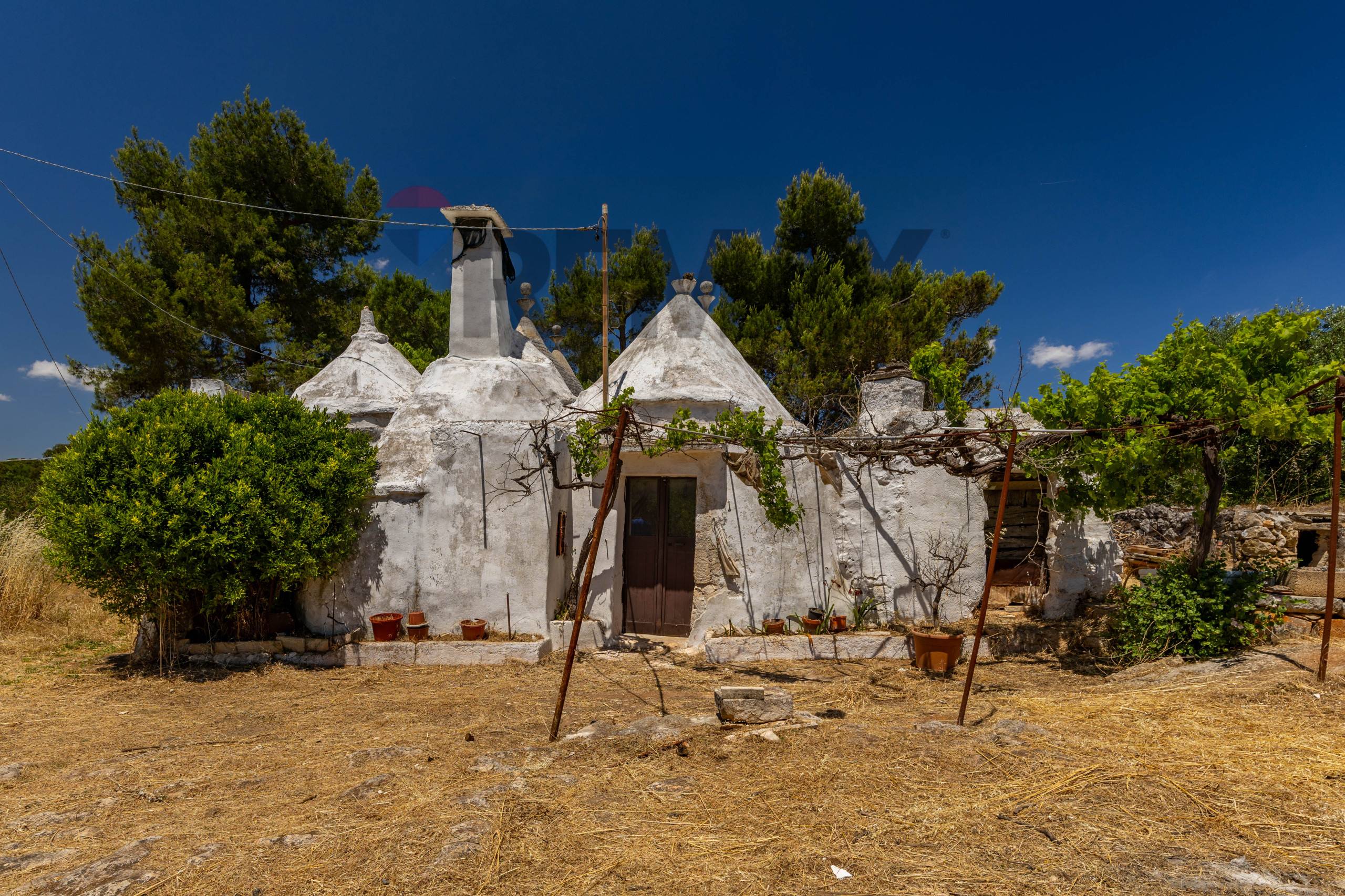 Baita / Chalè / Trullo Martina Franca