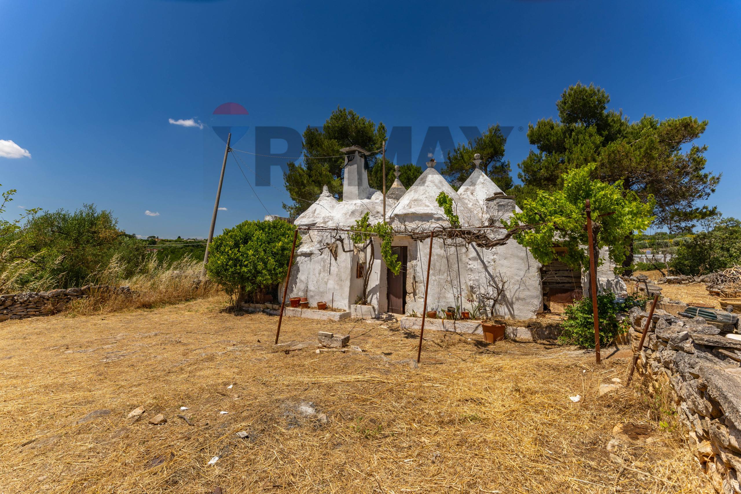 Baita / Chalè / Trullo Martina Franca