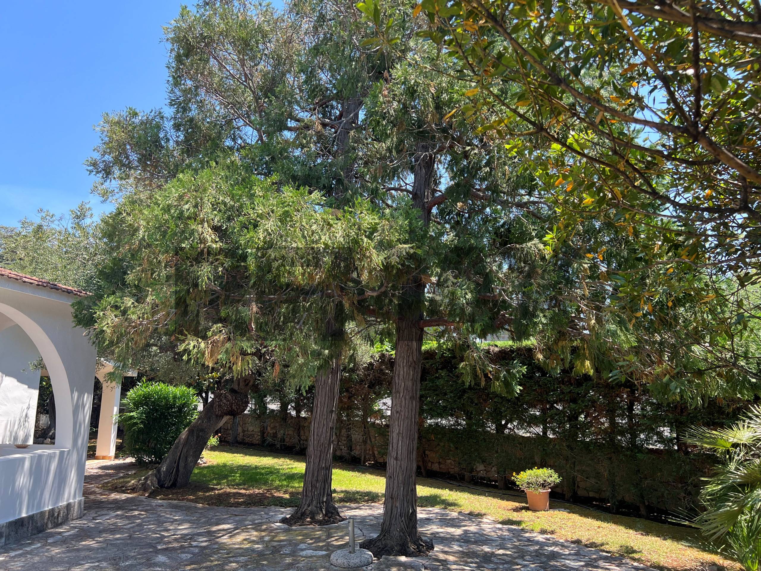 Villetta bifamiliare in vendita a Ostuni
