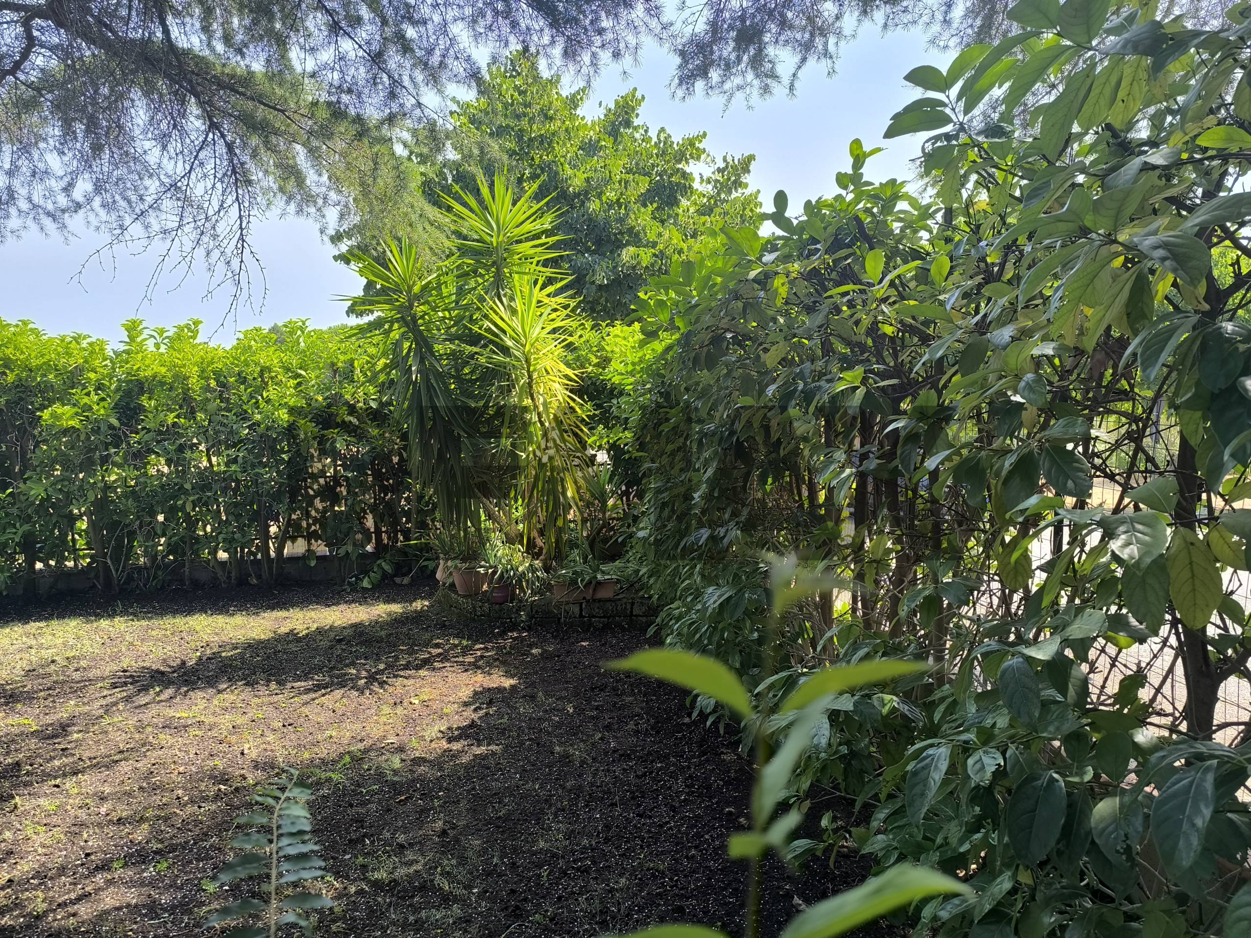 Villetta bifamiliare in vendita a Grumo Appula
