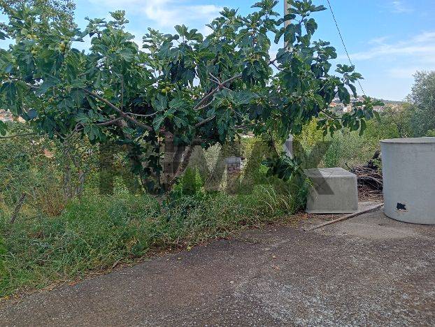 Villa in vendita a Mirabella Imbaccari - foto 9