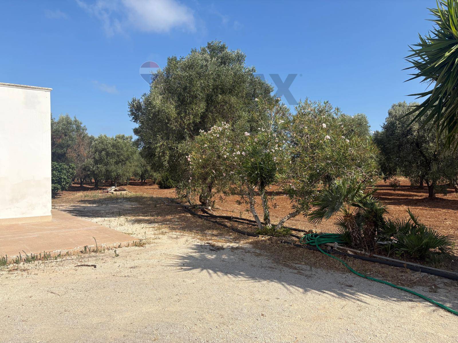 Villa in vendita a Carovigno - foto 3
