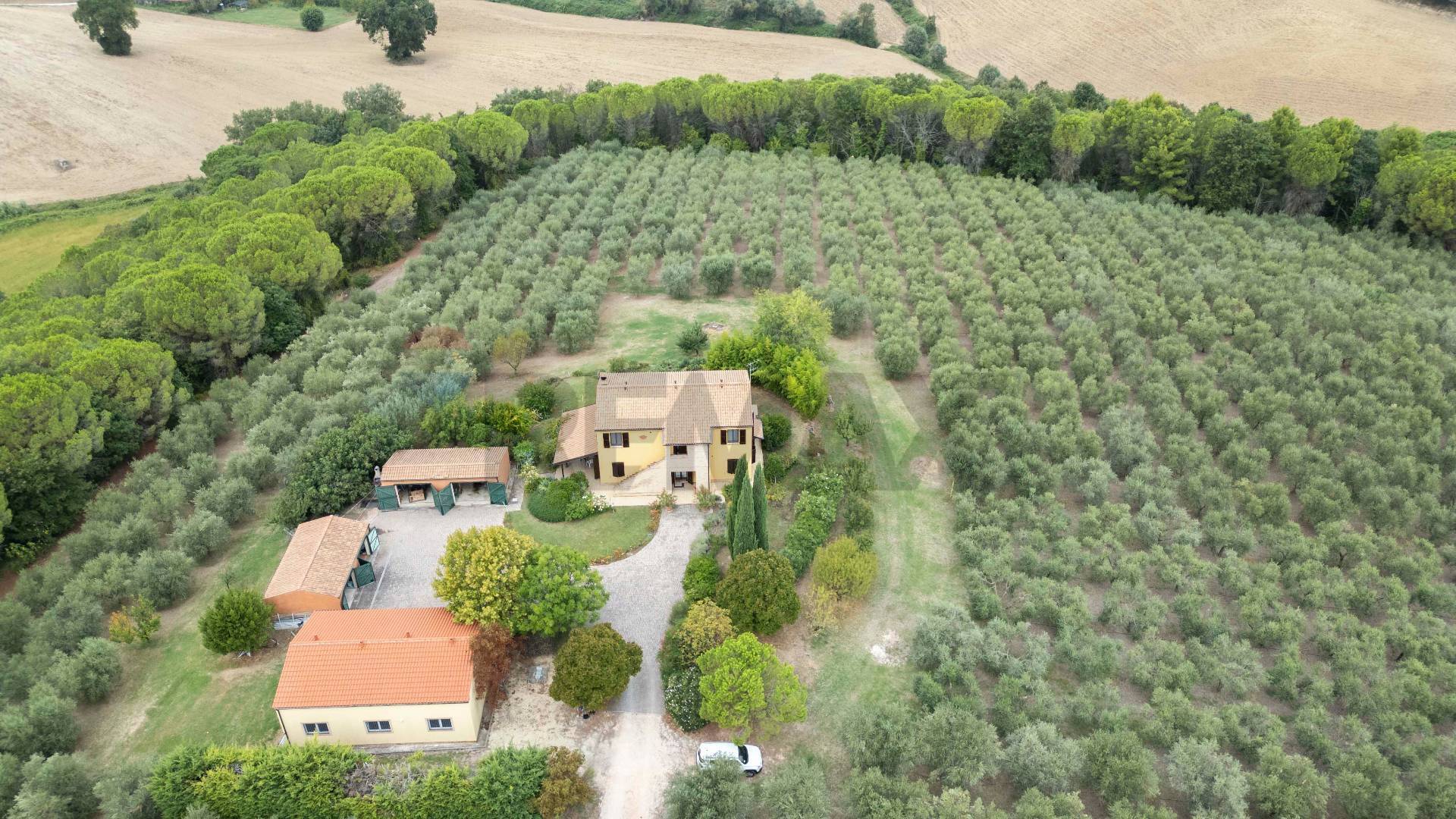 Villa in vendita a Morrovalle - foto 6