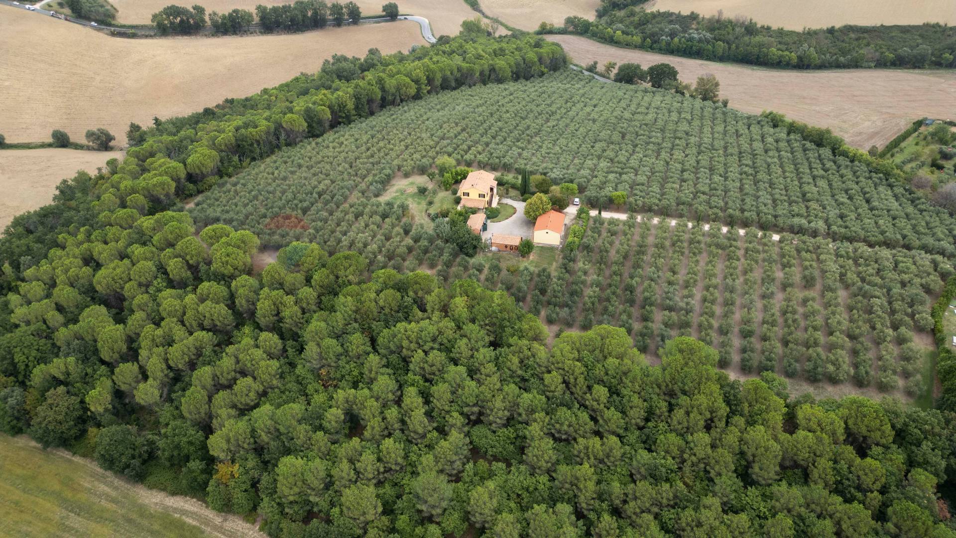 Villa in vendita a Morrovalle - foto 8