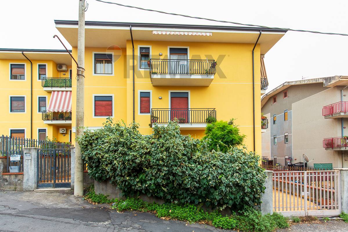 Appartamento in vendita a Pedara - foto 3
