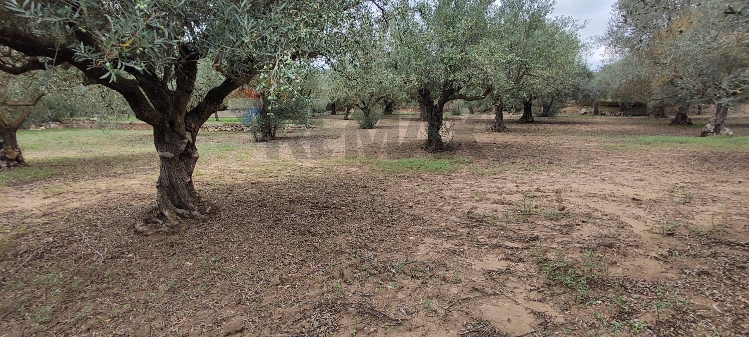 Villa in vendita a Caltagirone - foto 4