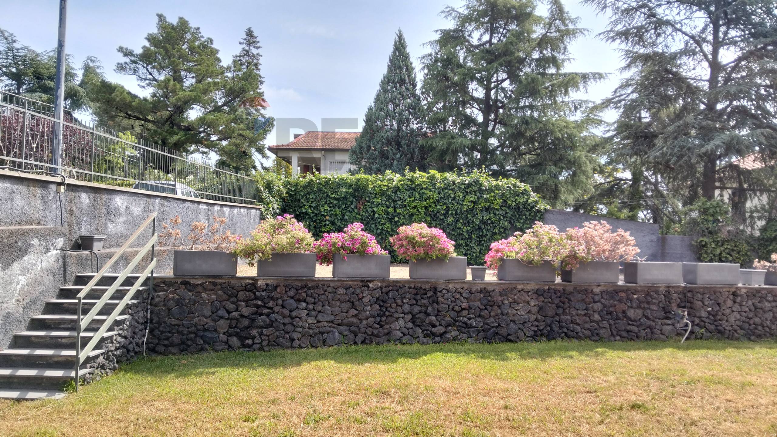 Villa in vendita a Pedara - foto 6