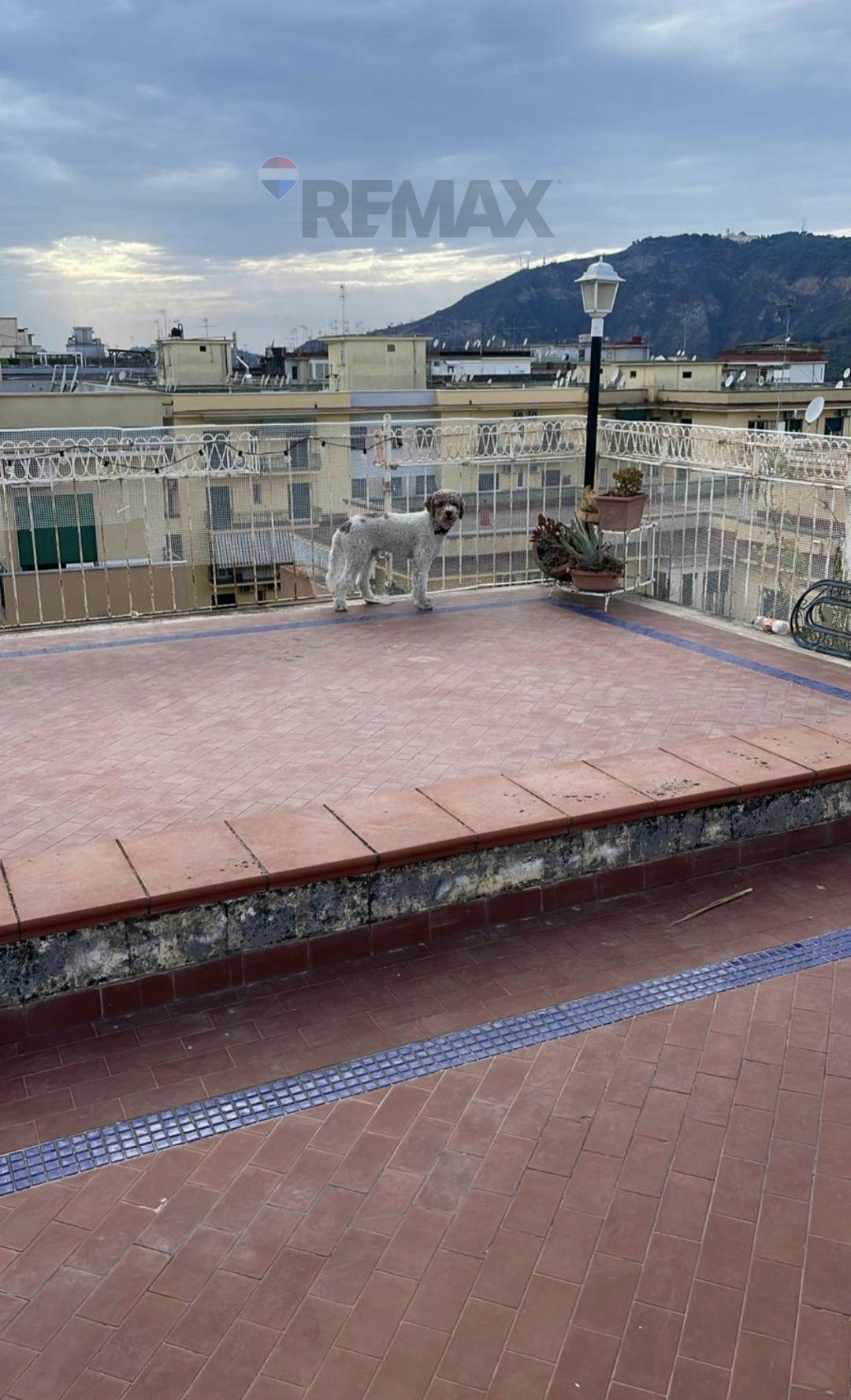 Appartamento in vendita a Napoli, Vomero, arenella - foto 5