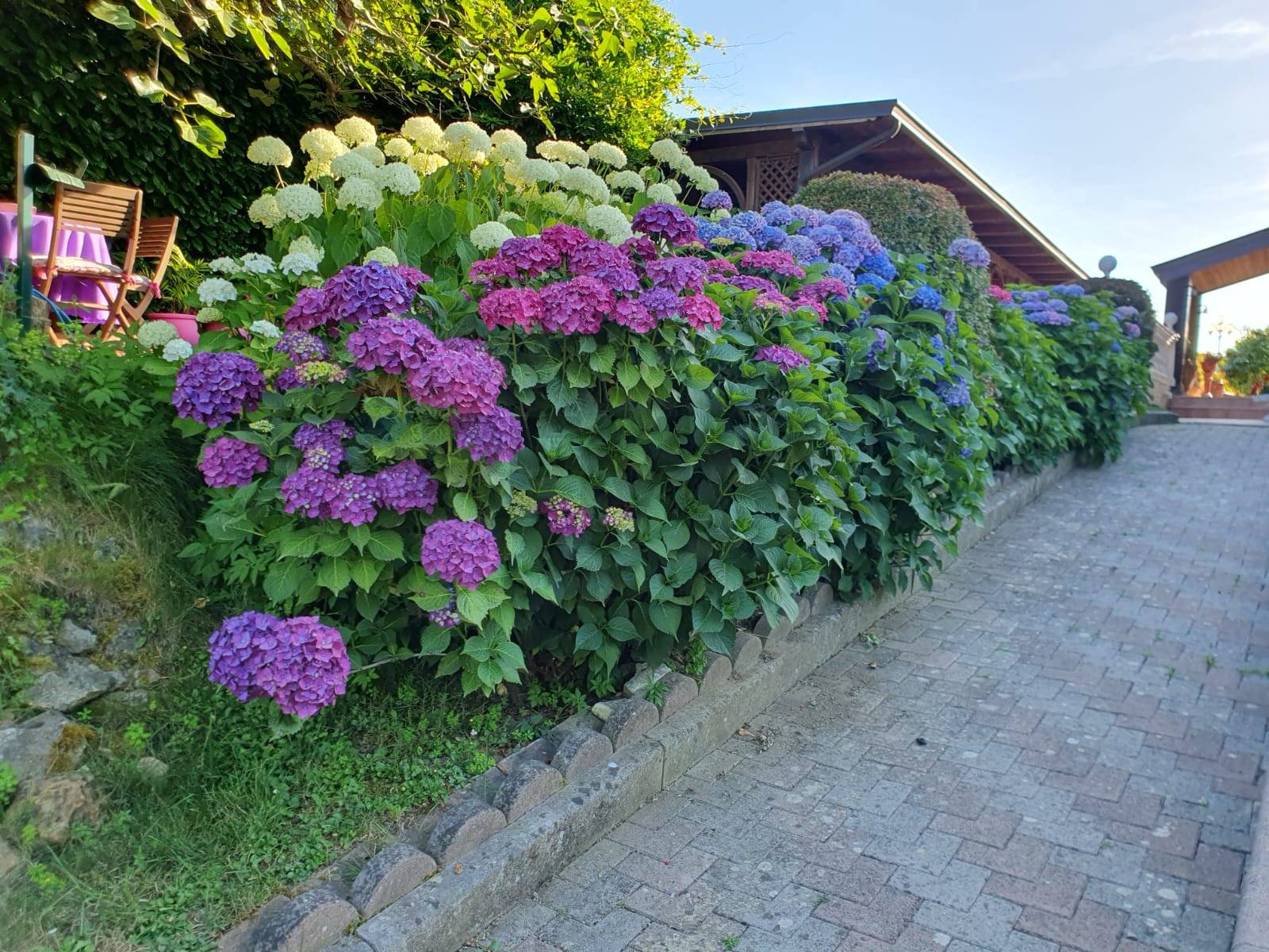Villa in vendita a Manocalzati - foto 6
