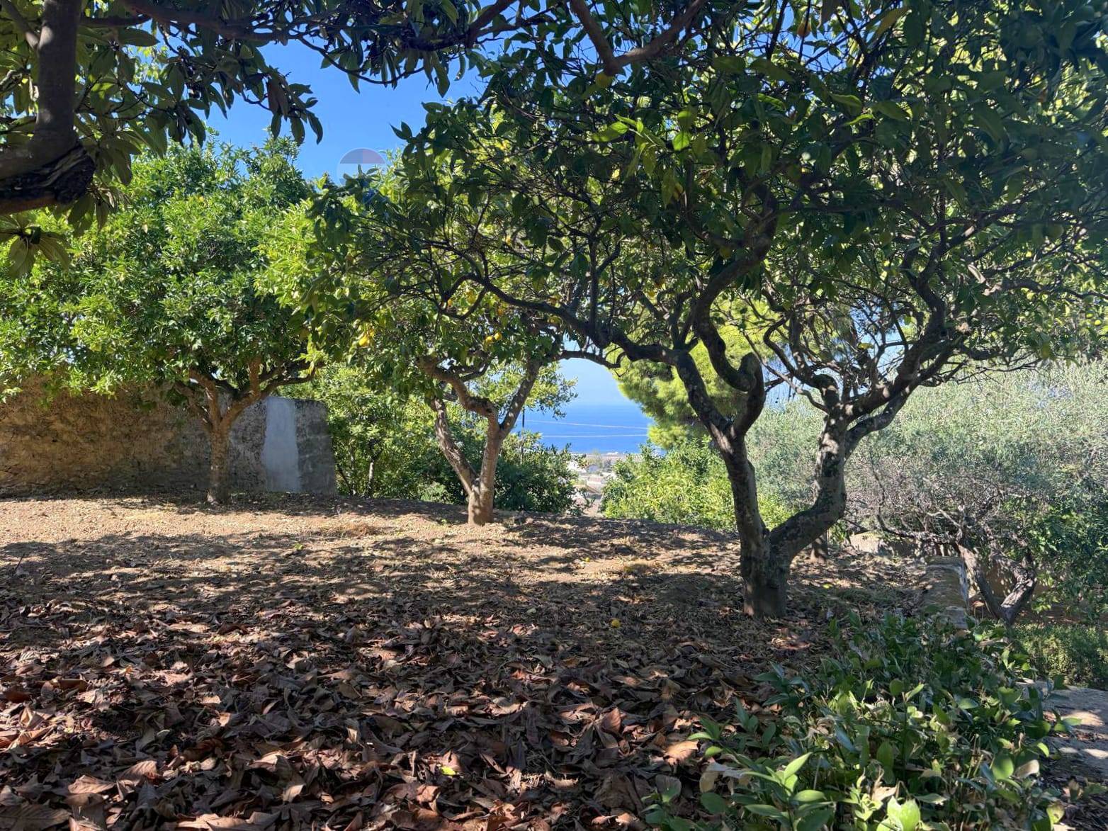 Villa in vendita a Valderice - foto 6
