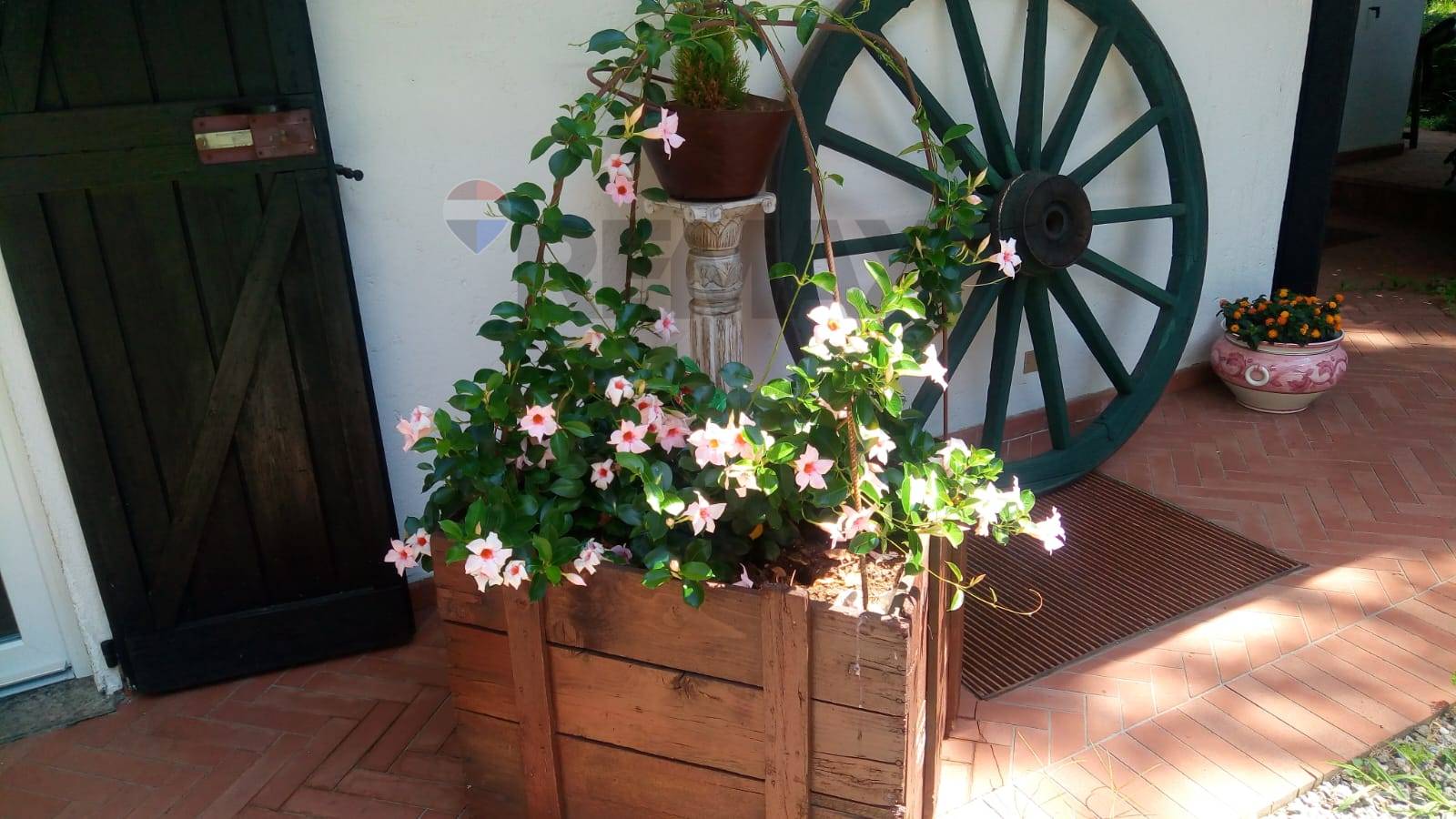 Villa in vendita a Borgo Ticino - foto 10