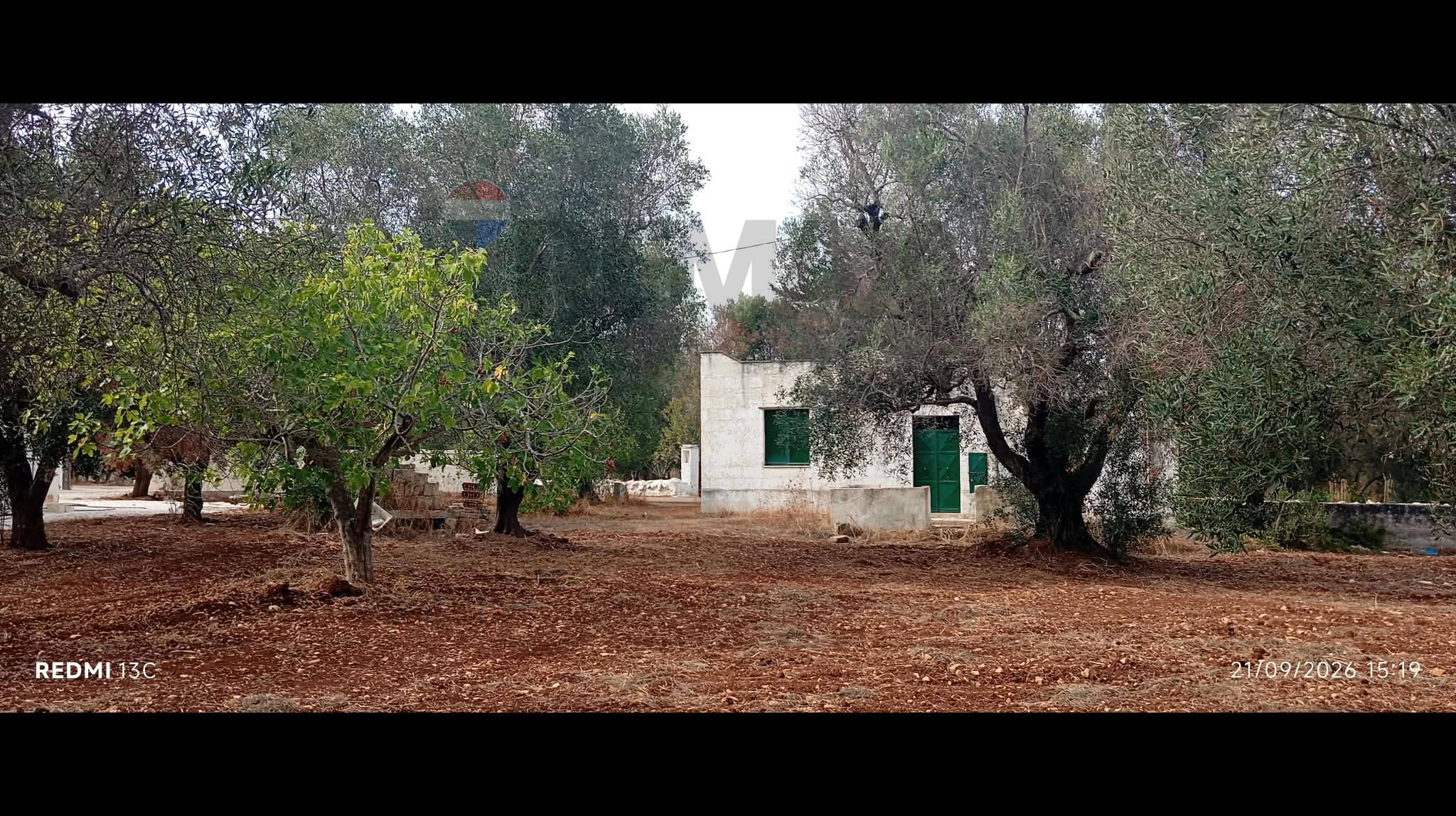 Villa in vendita a Carovigno - foto 7