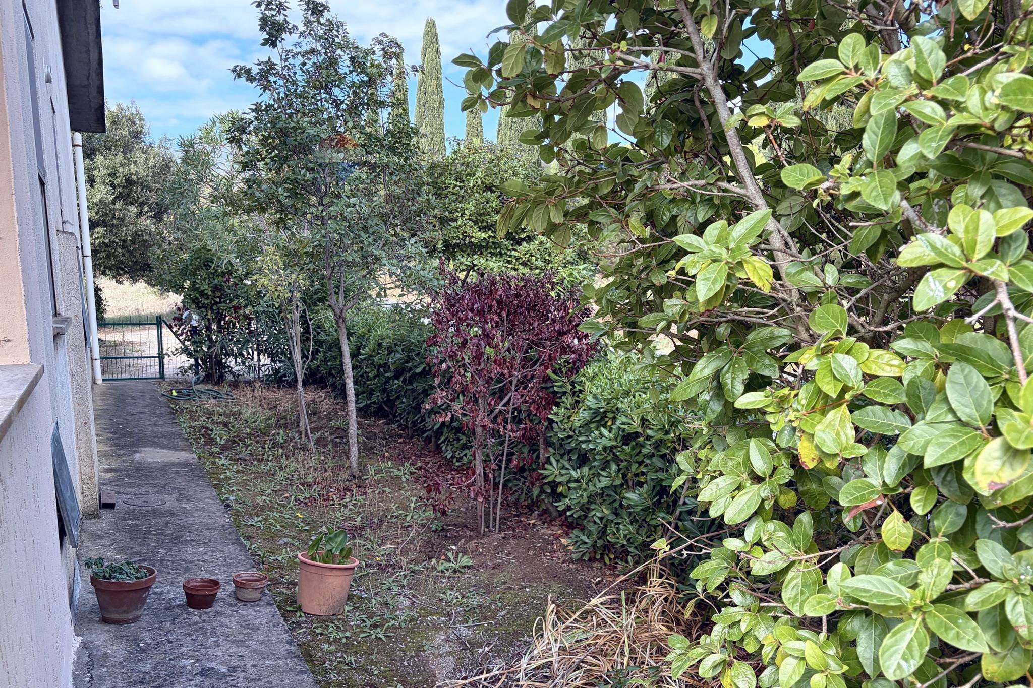 Casa Indipendente in vendita a Castiglione della Pescaia - foto 6