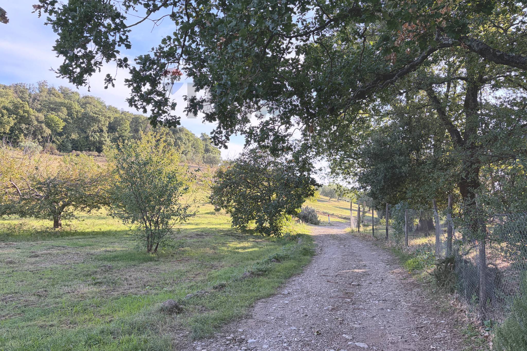 Casa Indipendente in vendita a Roccastrada - foto 4