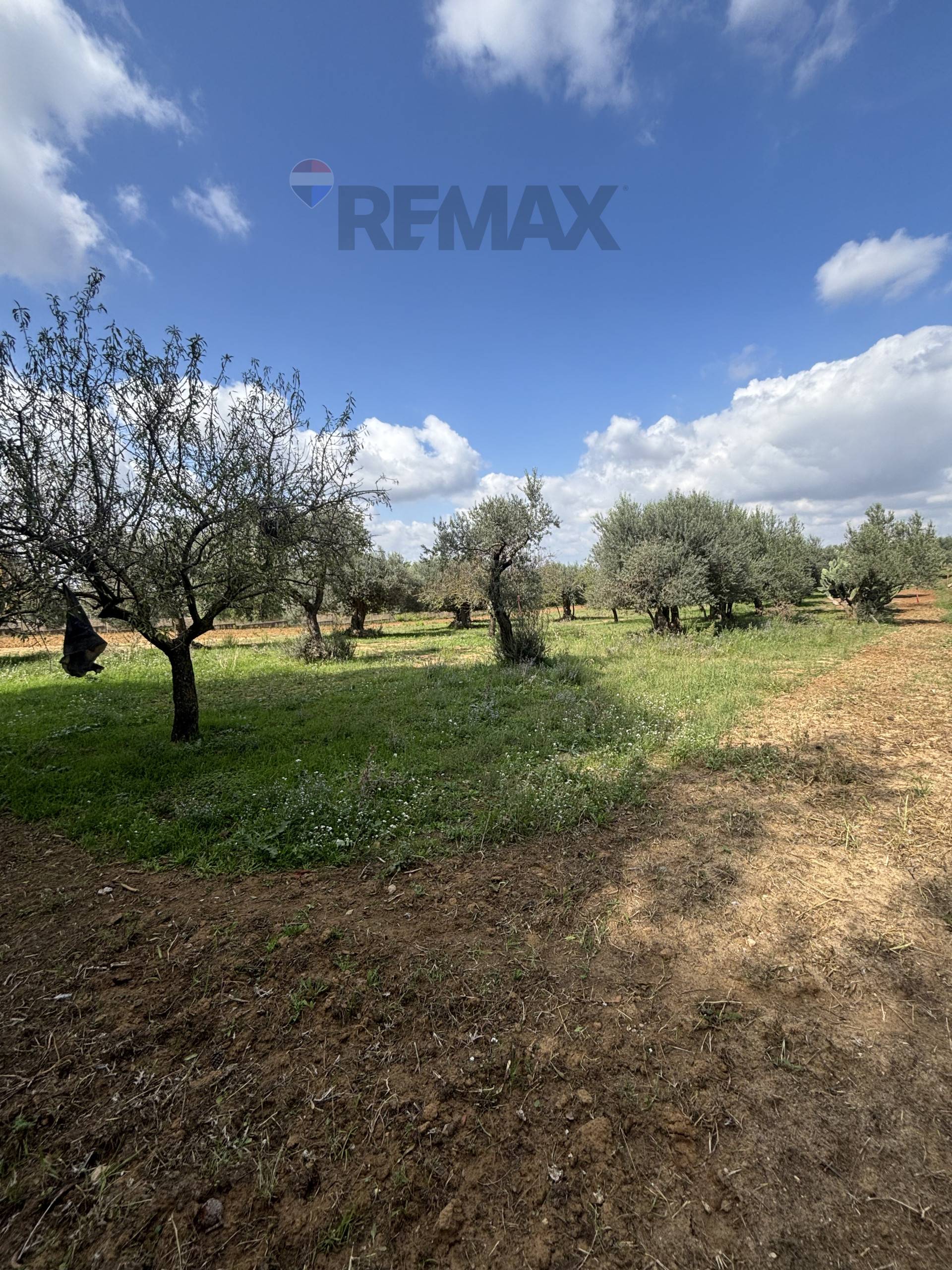 Villa in vendita a Grammichele - foto 4
