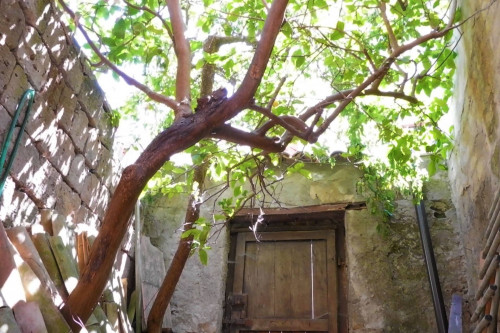 Casa Semindipendente in Vendita