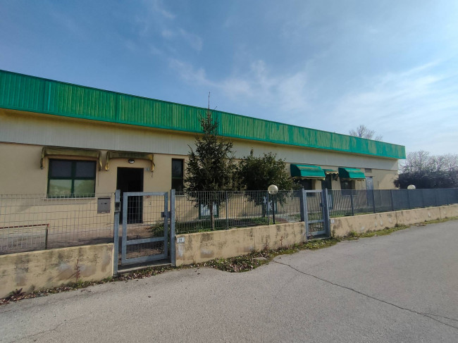 Capannone Industriale in Vendita