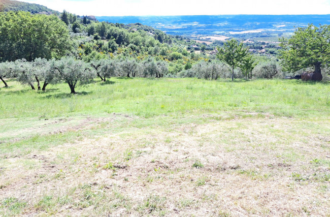 Terreno Edificabile in Vendita