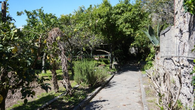 Appartamento in Vendita