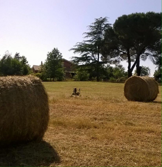 Villa singola in Vendita