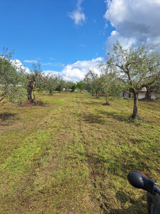 Villa o villino in Vendita