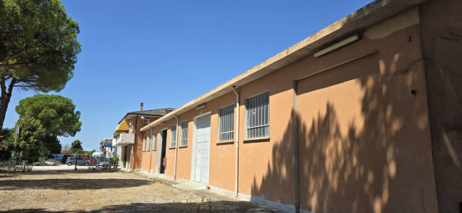 Capannone Industriale in Affitto