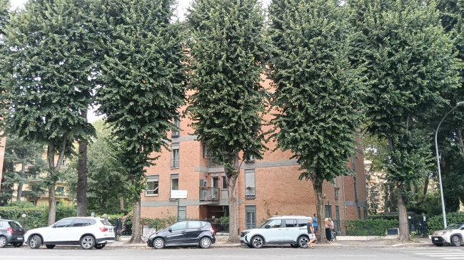 Appartamento in Affitto